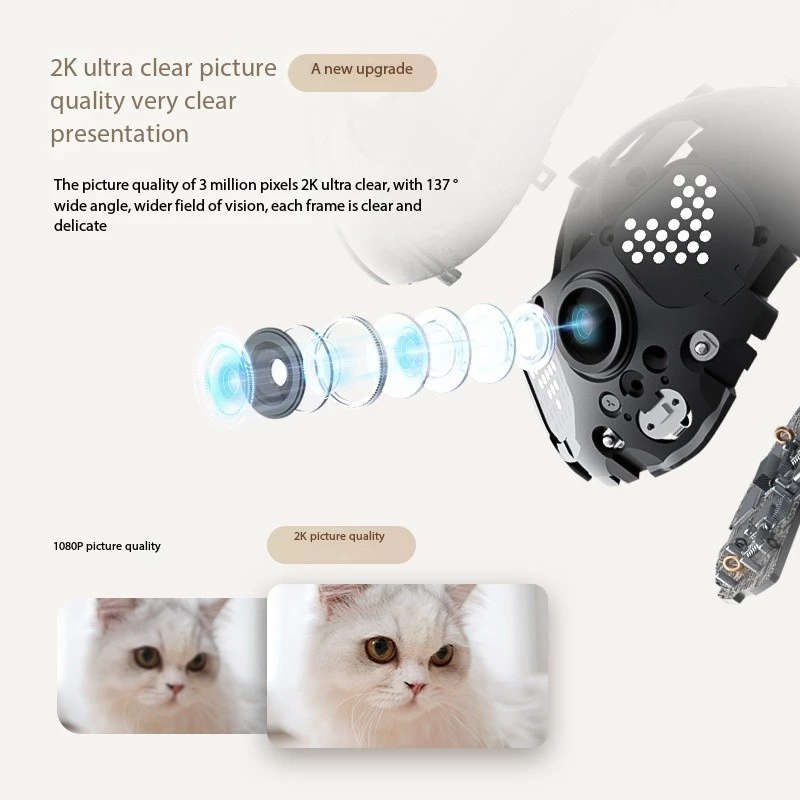 Enabot EBO AIR 2 Companion Rob – Home Security Robot Dog Bewertung und Preis