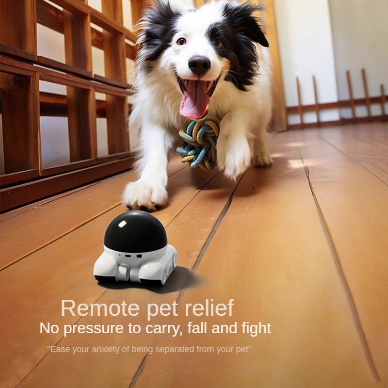 Smart Dual Lens IP Dome Robote – Home Security Robot Dog Bewertung und Preis