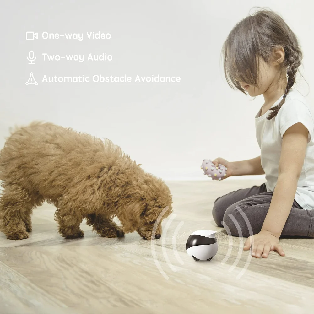 SE Kamera Roboter für Hund Kat – Home Security Robot Dog Bewertung und Preis